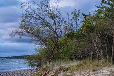 全国青少年铁人三项比赛奥运新宠，铁人三项青少年组